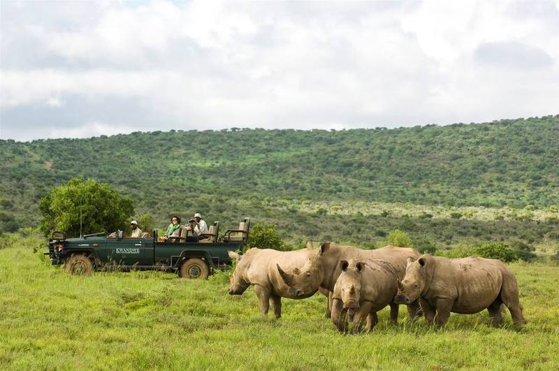 Kwandwe Private Game Reserve - Great Fish River Lodge Grahamstown Exterior photo