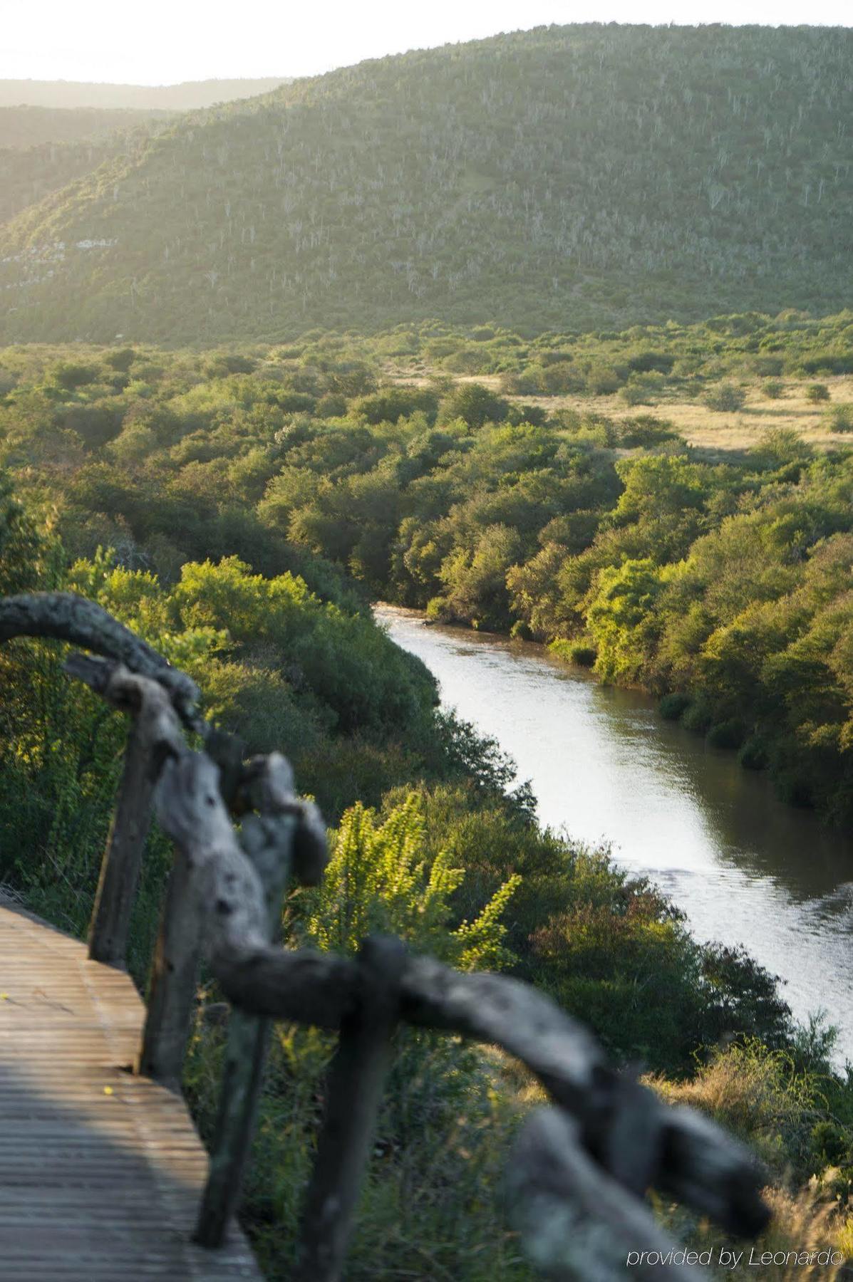 Kwandwe Private Game Reserve - Great Fish River Lodge Grahamstown Exterior photo